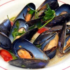 Black Mussel